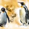 World Penguin Day