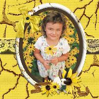 Scrapbook Designer Collection