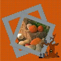 Scrapbook Designer Collection