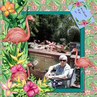 Mom Loved Flamingos