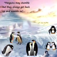 World penguin Day