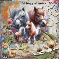 Most Recent Upload - The Beauty of Horses.