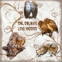 OWLways
