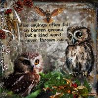 Wise Sayings from Owls