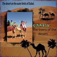 Explore the World - Desert & Camels.