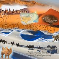 Most Recent Upload - Gobi Desert