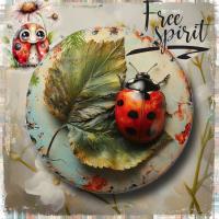 World of Ladybirds