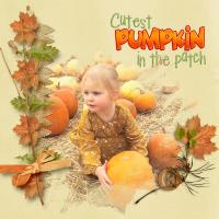 BELLA PUMPKINS