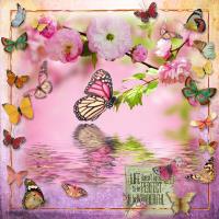 Butterflies are Wonderful.