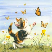 BUTTERFLIES 2
