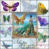 BUTTERFLIES 2025
