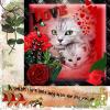 A Mother's Love 2025