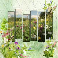 Most Recent Upload - WILD FLOWER SPLIT PAGE