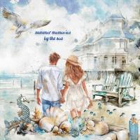 Most Recent Upload - your choice - life at the shoreline