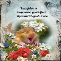 Laughter is Happiness