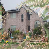 Most Recent Upload - Spring Landscaping almost done