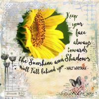 Most Recent Upload - Keep Your Face to the Sun.