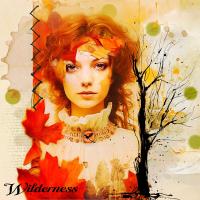 Most Recent Upload - Wilderness
