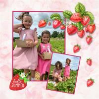 STRAWBERRY PICKING