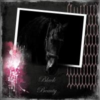 Black Beauty
