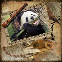 Most Recent Upload - Panda Music 