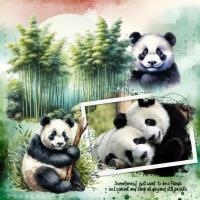 Most Recent Upload - To Be A Panda