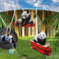 Pandas at Play