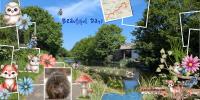 Most Recent Upload - Beautiful Day!
