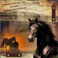 Most Recent Upload - Love of Horses