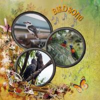 Most Recent Upload - Birdsong