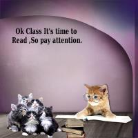 Most Recent Upload - Cute Kitties-2025