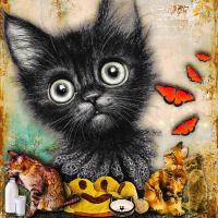 Cats Everywhere