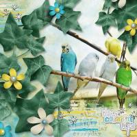 {blue green yellow}