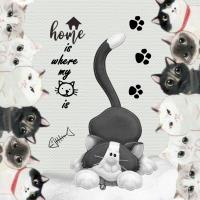 Most Recent Upload - CUTE KITTIES