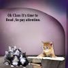 Cute Kitties-2025