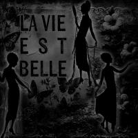 Most Recent Upload - beautiful silhouettes