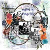 Work In Progress