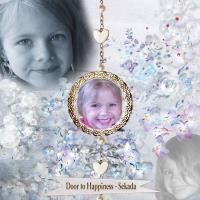 Door to Happiness