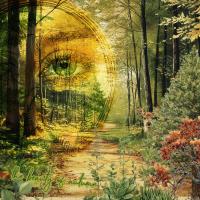 Most Recent Upload - The Beauty Of Autumn