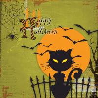 not no scaredy cat