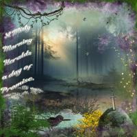 Most Recent Upload - Misty Morning in the Forest 25