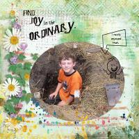 Most Recent Upload - Find Joy in the Ordinary.