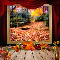 Most Recent Upload - Autumn Window-2025