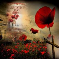 Most Recent Upload - Armistice Day '25