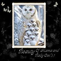 Most Recent Upload - Owe Challenge 2025 page 2