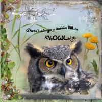 Most Recent Upload - Owlful of Knowledge.