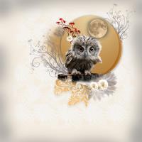 Most Recent Upload - I Spot it