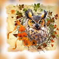 Most Recent Upload - I C U 2