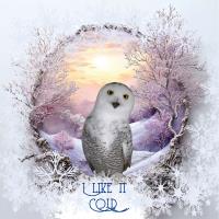 Snow Owl