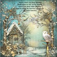 Most Recent Upload - Twitawooo